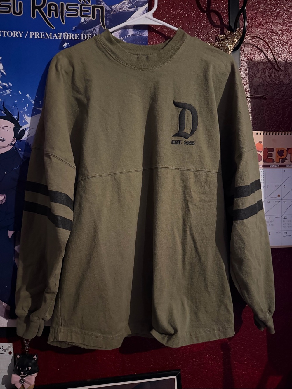 Disney Disneyland Spirit Jersey